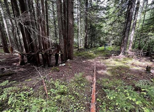 Lot 2 Red Mountain Road, Silverton, BC 