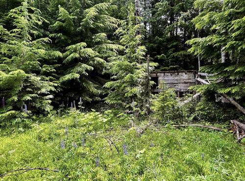Lot 2 Red Mountain Road, Silverton, BC 