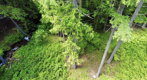 Lot 2 Red Mountain Road, Silverton, BC 