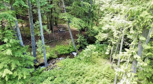 Lot 2 Red Mountain Road, Silverton, BC 