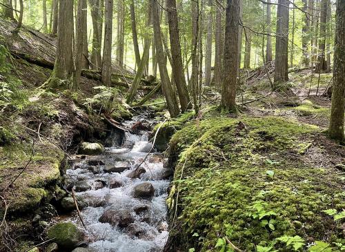 Lot 2 Red Mountain Road, Silverton, BC 