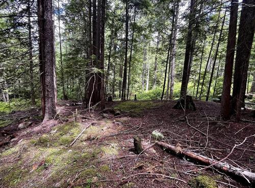 Lot 2 Red Mountain Road, Silverton, BC 