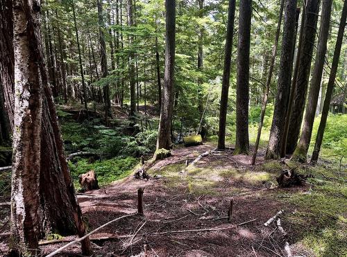 Lot 2 Red Mountain Road, Silverton, BC 