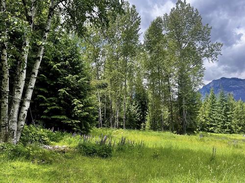 Lot 2 Red Mountain Road, Silverton, BC 