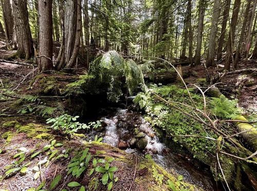 Lot 2 Red Mountain Road, Silverton, BC 