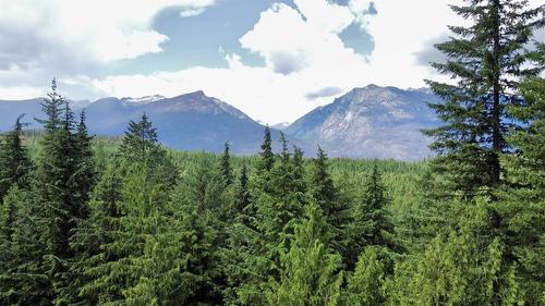 Lot 2 Red Mountain Road, Silverton, BC 