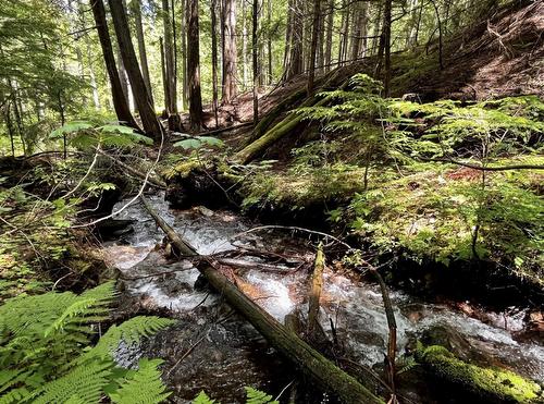 Lot 2 Red Mountain Road, Silverton, BC 