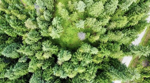 Lot 2 Red Mountain Road, Silverton, BC 