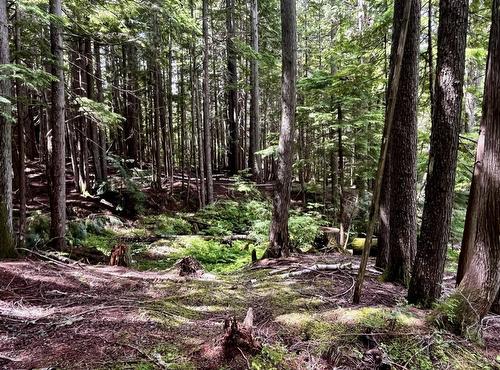 Lot 2 Red Mountain Road, Silverton, BC 