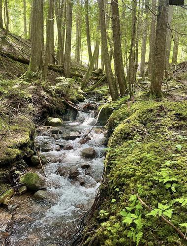 Lot 2 Red Mountain Road, Silverton, BC 