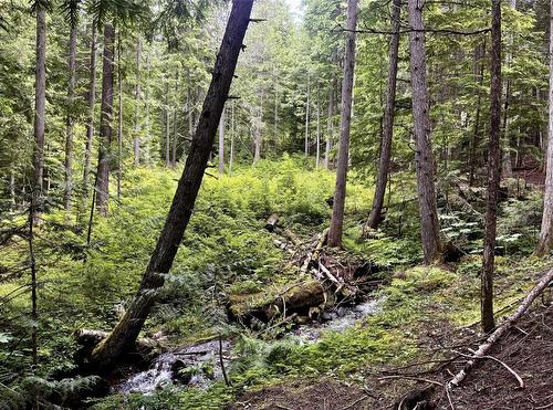 Lot 2 Red Mountain Road, Silverton, BC 