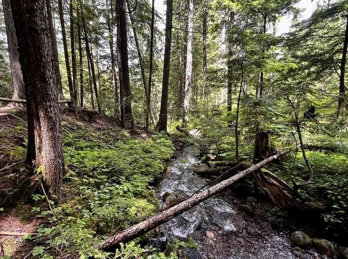 Lot 2 Red Mountain Road, Silverton, BC 