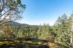 1530 Nighthawk Lane Sooke, BC V9Z 1M9