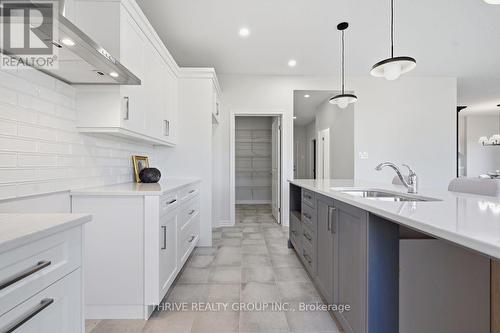 64 Basil Crescent, Middlesex Centre (Ilderton), ON - Indoor Photo Showing Kitchen With Upgraded Kitchen