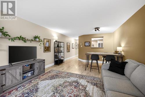 B - 35 Robinson Avenue, Ottawa, ON - Indoor Photo Showing Living Room