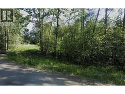 4114 BALSUM ROAD Prince George, BC V2K 1Z9