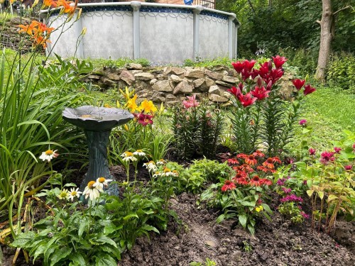 Jardin - 94 Rue St-Pierre, Rigaud, QC - Outdoor
