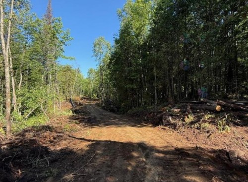 Extérieur - Ch. Du Lac-Bélanger, Labelle, QC 