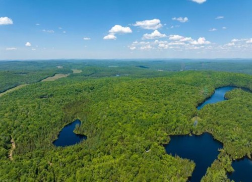 Terre/Terrain - Ch. Du Lac-Bélanger, Labelle, QC 