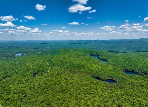 Terre/Terrain - Ch. Du Lac-Bélanger, Labelle, QC 