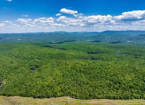 Terre/Terrain - Ch. Du Lac-Bélanger, Labelle, QC 