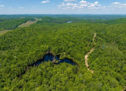 Terre/Terrain - Ch. Du Lac-Bélanger, Labelle, QC 