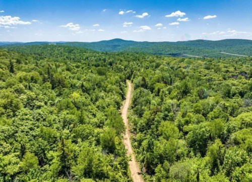 Terre/Terrain - Ch. Du Lac-Bélanger, Labelle, QC 