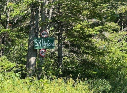 Accès au plan d'eau - Ch. Du Lac-Bélanger, Labelle, QC 