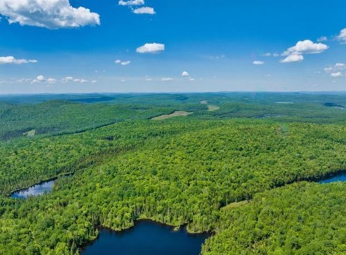 Vue - Ch. Du Lac-Bélanger, Labelle, QC 