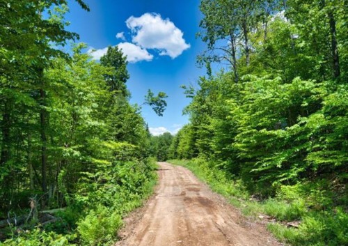 Rue - Ch. Du Lac-Bélanger, Labelle, QC 