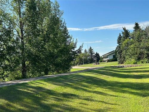 173038 60 (Kola) Road N, Virden, MB - Outdoor With View
