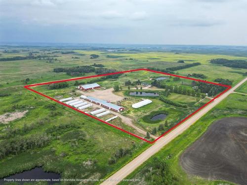 Green houses at back of barn are gone-only one at the end remains - 173038 60 (Kola) Road N, Virden, MB - Outdoor With View