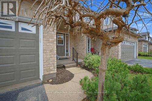 11 - 255 Summerfield Drive, Guelph (Pineridge/Westminster Woods), ON - Outdoor