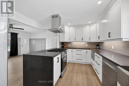 77 Balmoral Avenue, Welland (Lincoln/Crowland), ON - Indoor Photo Showing Kitchen