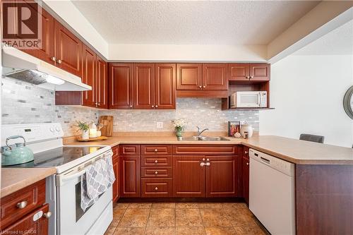 30 Fallowfield Drive, Kitchener, ON - Indoor Photo Showing Kitchen With Double Sink