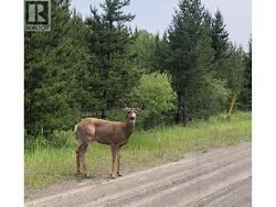 LOT 1 5916 LITTLE FORT 24 HIGHWAY Lone Butte, BC V0K 1X1