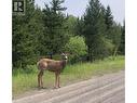 Lot 1 5916 Little Fort 24 Highway, Lone Butte, BC 