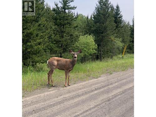 Lot 1 5916 Little Fort 24 Highway, Lone Butte, BC 