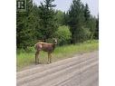 Lot 1 5916 Little Fort 24 Highway, Lone Butte, BC 