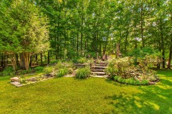 Garden - 