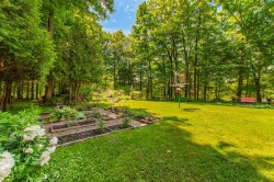 Garden - 