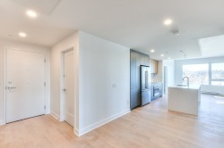 Salon - 