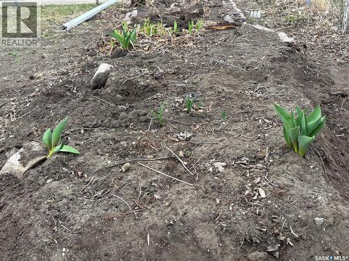 413 Maple Street, Maple Creek, SK - Outdoor