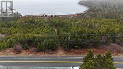 7 Highway  Ecum Secum, NS B0J 2A0