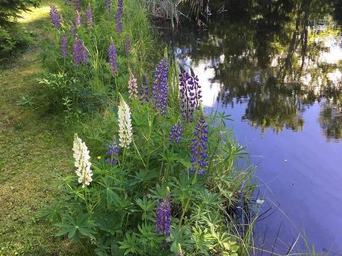 156 Widow Point Loop, West Bay Marshes, NS 
