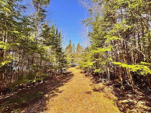 156 Widow Point Loop, West Bay Marshes, NS 