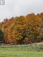 174715 MULOCK ROAD  West Grey, ON N0G 1S0