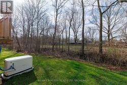 Backyard facing the Friendship Trail - 