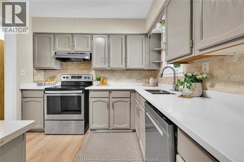 3711 Dandurand Boulevard, Windsor, ON - Indoor Photo Showing Kitchen With Double Sink