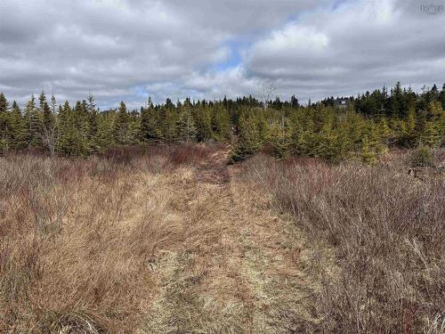 7 Highway, Ecum Secum, NS 